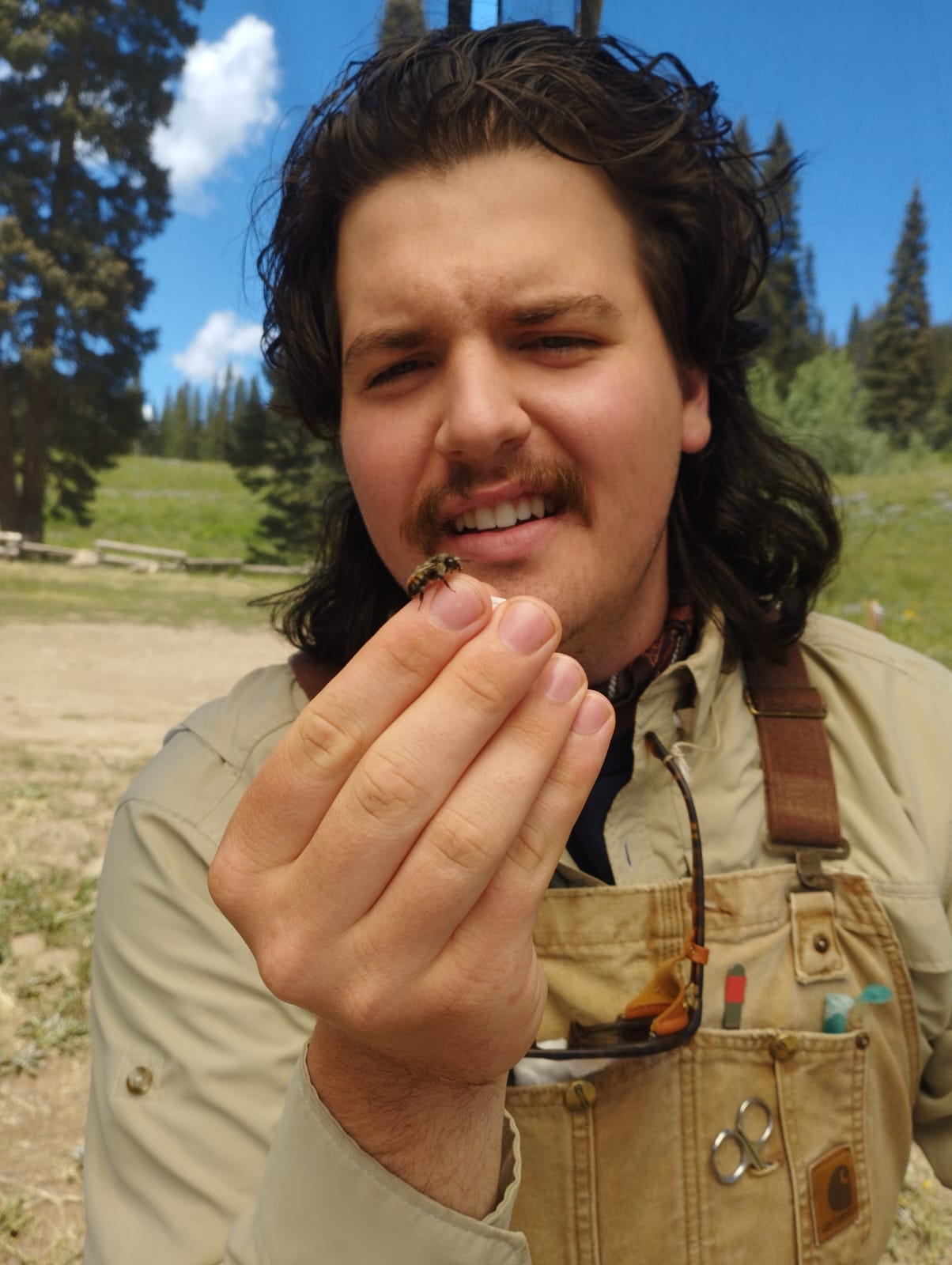 ND holding a fuzzy bumble bee